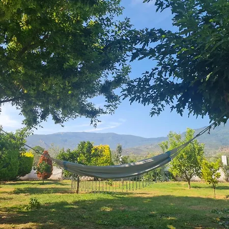 Ktima Nostos * Βόλος