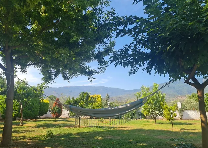 Ktima Nostos * Βόλος